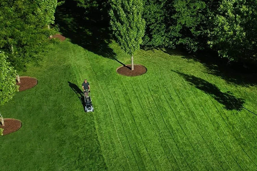 best electric cordless lawn mower